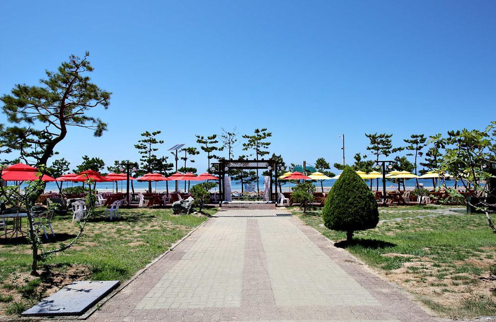 Hotel Mallipo Taean Zewnętrze zdjęcie